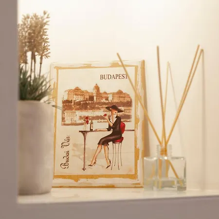 Perfect Place In The Center With Fast Wifi شقة بودابست