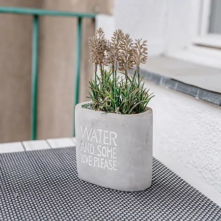 Perfect Place In The Center With Fast Wifi