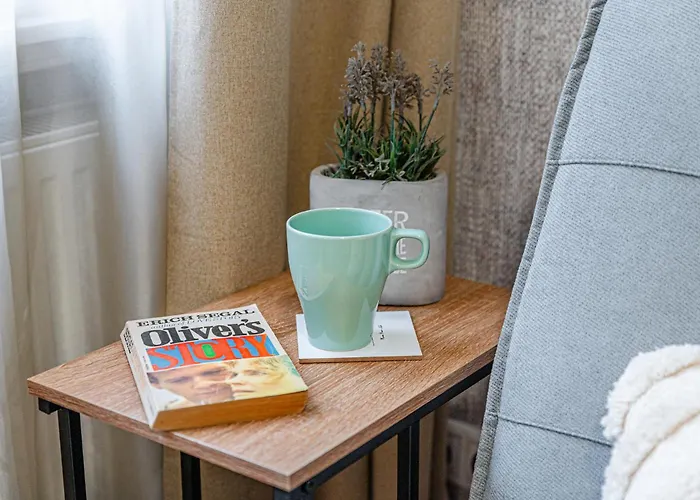 Apartman Perfect Place In The Center With Fast Wifi